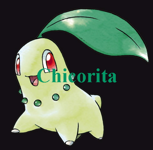 Chicorita